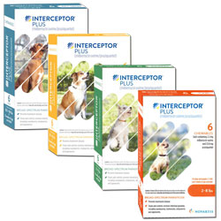 Interceptor Plus (Prescription only)