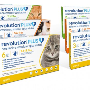 Revolution Plus (Feline)