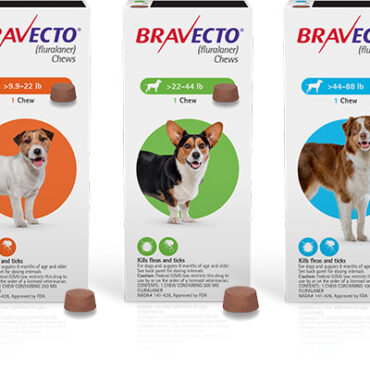 Bravecto 3 month Chewable (Prescription Only)