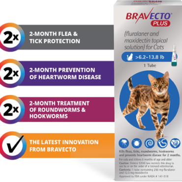 Bravecto PLUS -Feline Heartworm + Flea +Tick